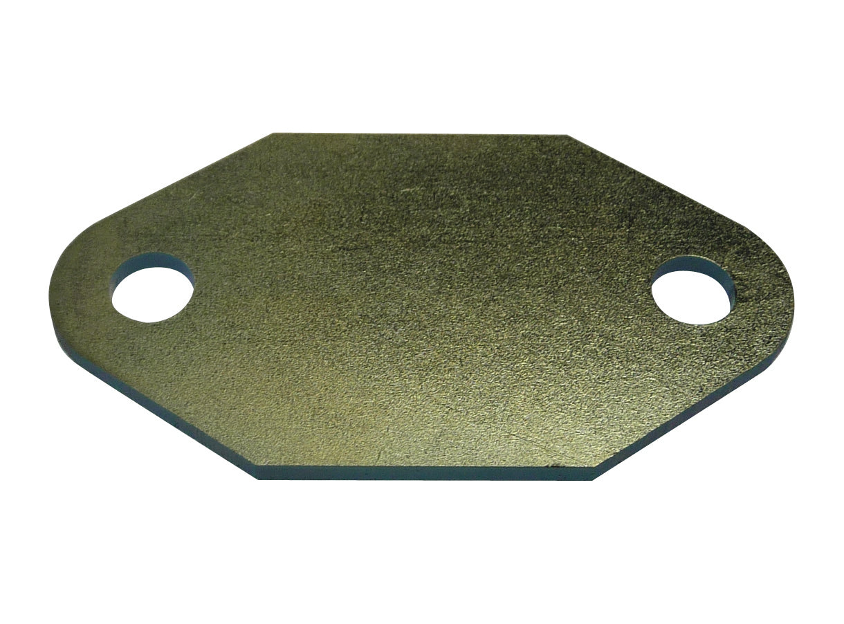 TFI Holden V8 Fuel Pump Block Off - 0308