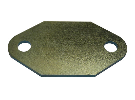 TFI Holden V8 Fuel Pump Block Off - 0308