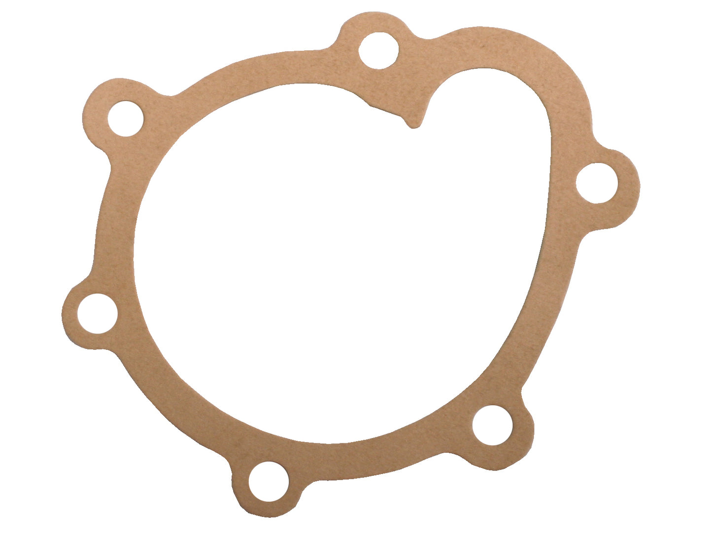 Gasket Cover To Water Pump Grey - 7401013