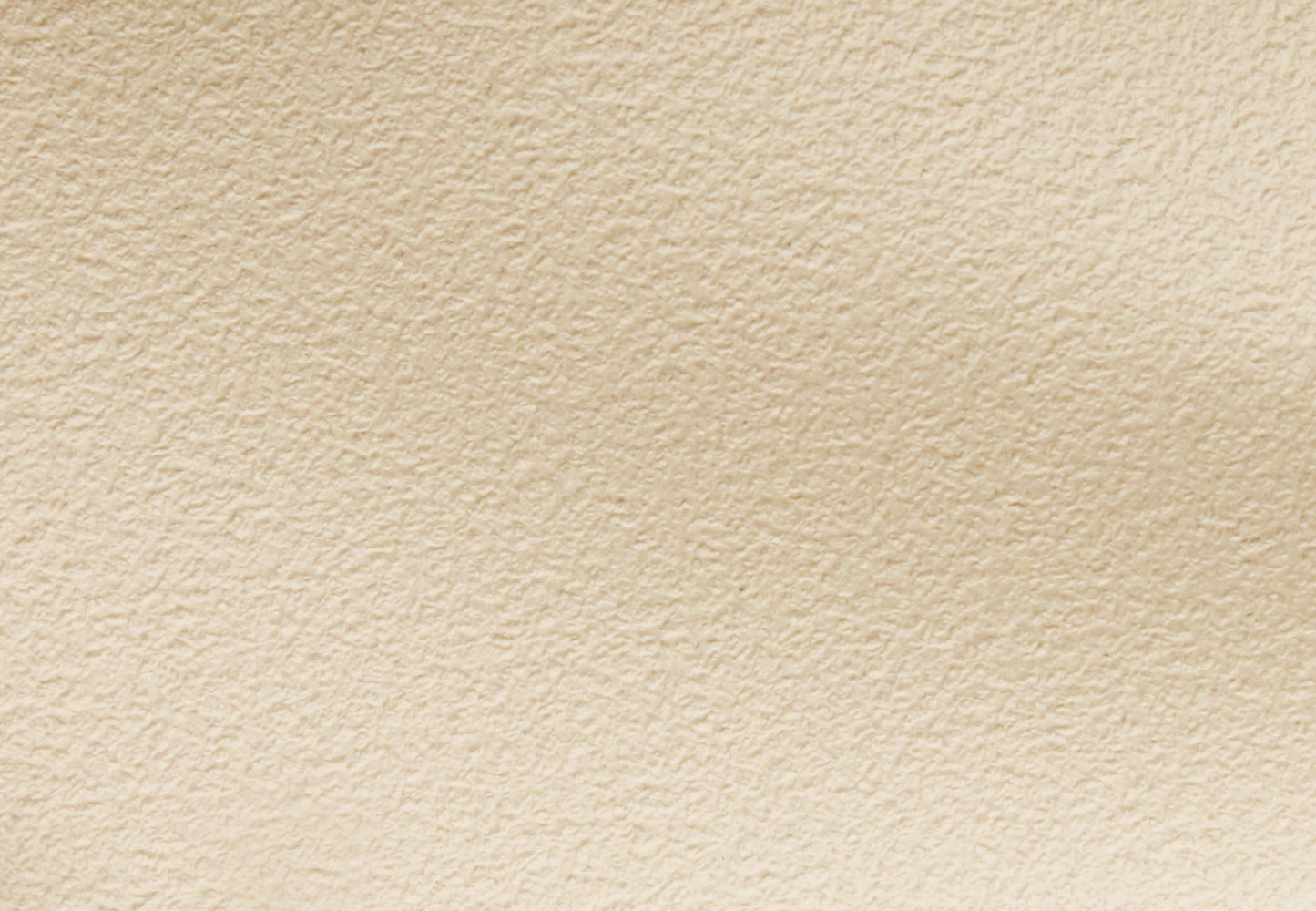 Headlining & Visor FE FC Sedan White Sandpaper - 7411357-HL005
