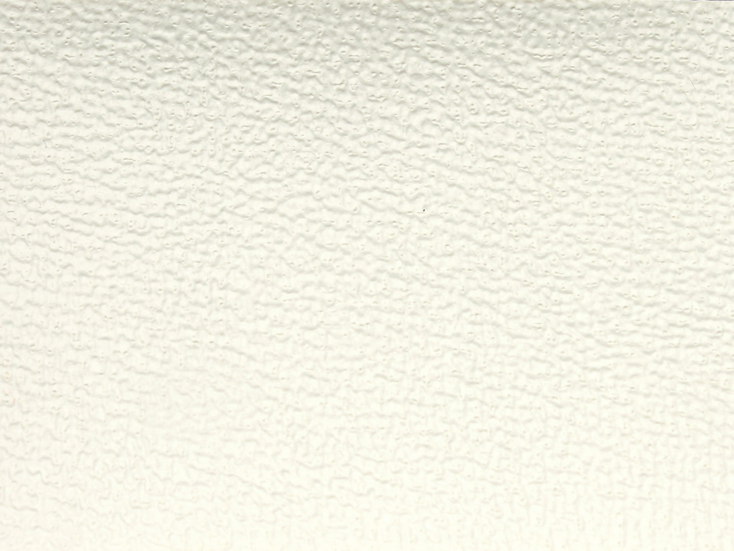 Headlining & Visor EH Sedan VW White - 7424804-HL060