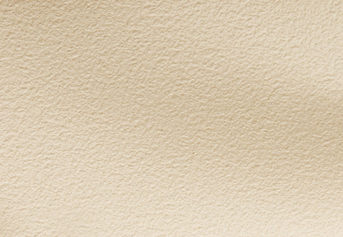 Headlining & Visor 48 FJ Sedan White Sandpaper - 7402695-HL005