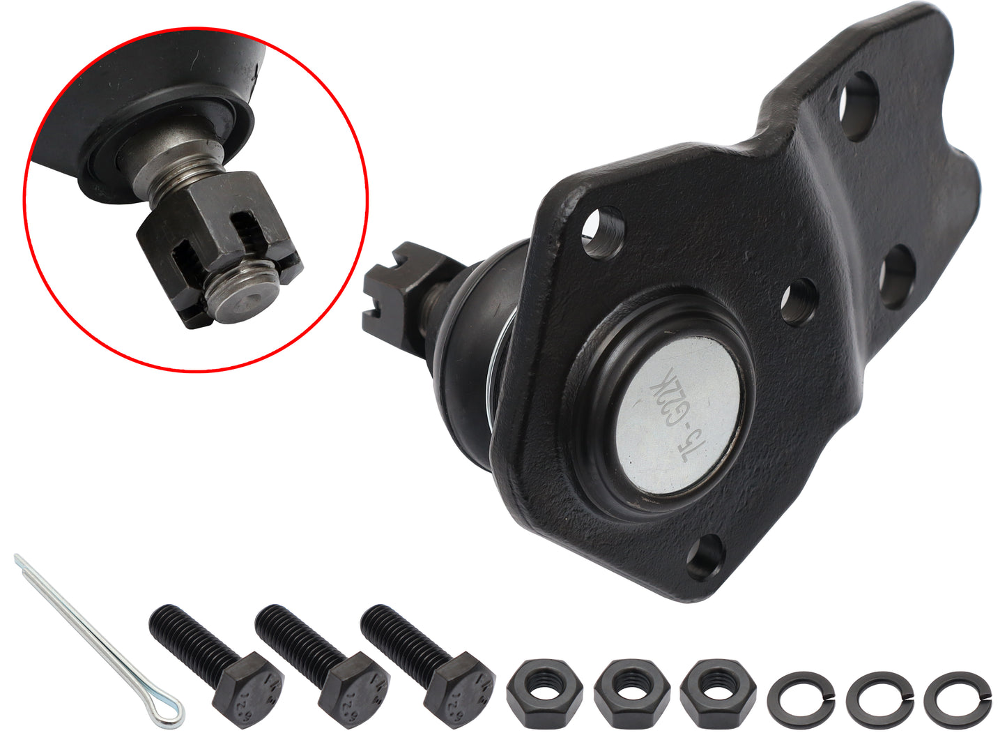 Ball Joint Lower Ford XT XW XY XA XB XC XD XE XF XG ZB ZC ZD ZF ZG ZH ZK ZL - ABJ10B