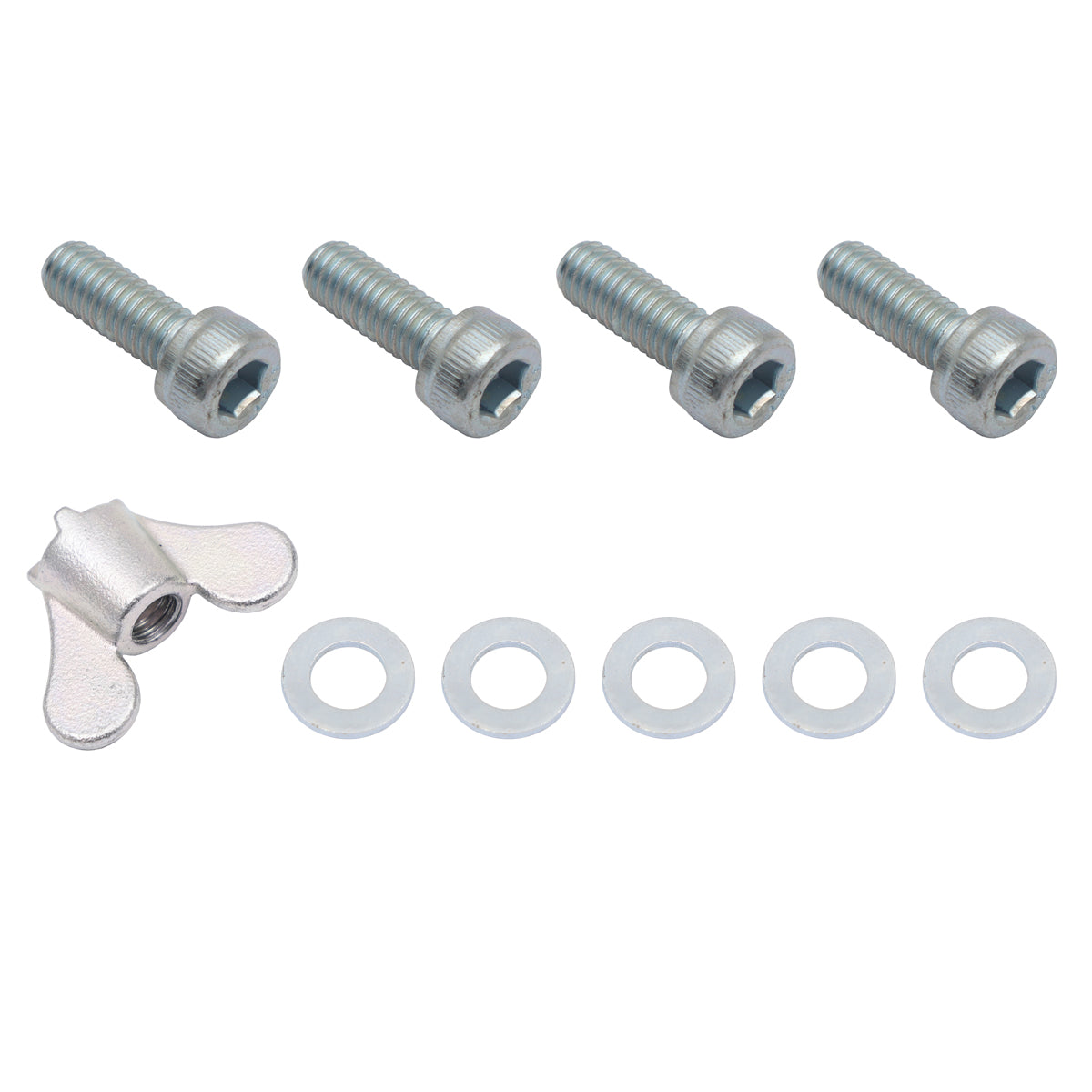 Engine Cover Bolt Kit VN VG VQ VP VR VS V8 - BS1047