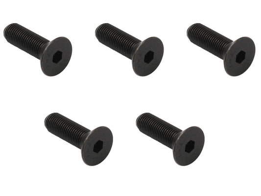 Disc Brake Rotor Screw Kit (5 Pcs) Holden HD HR - BS1021