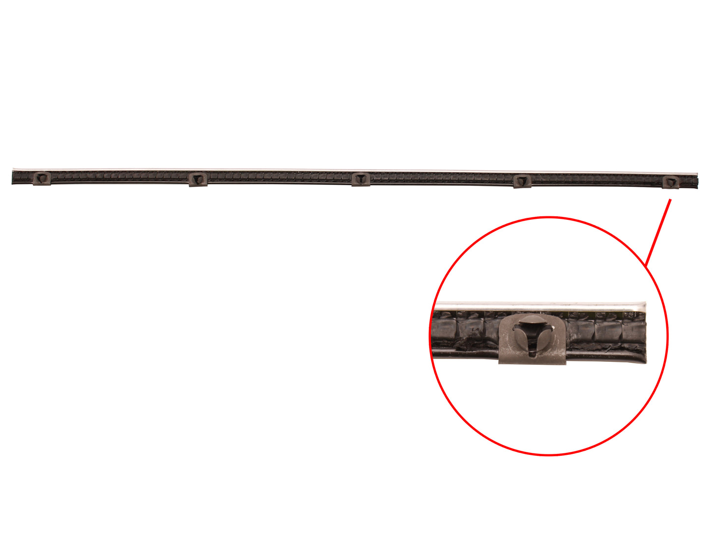 Door Belt FE FC Front Inner or Outer - RDB1013