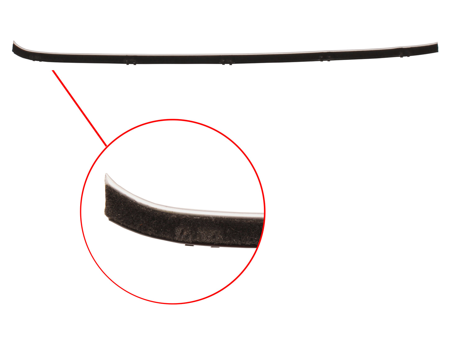 Door Belt EJ EH Left Hand Rear Inner - RDB1031