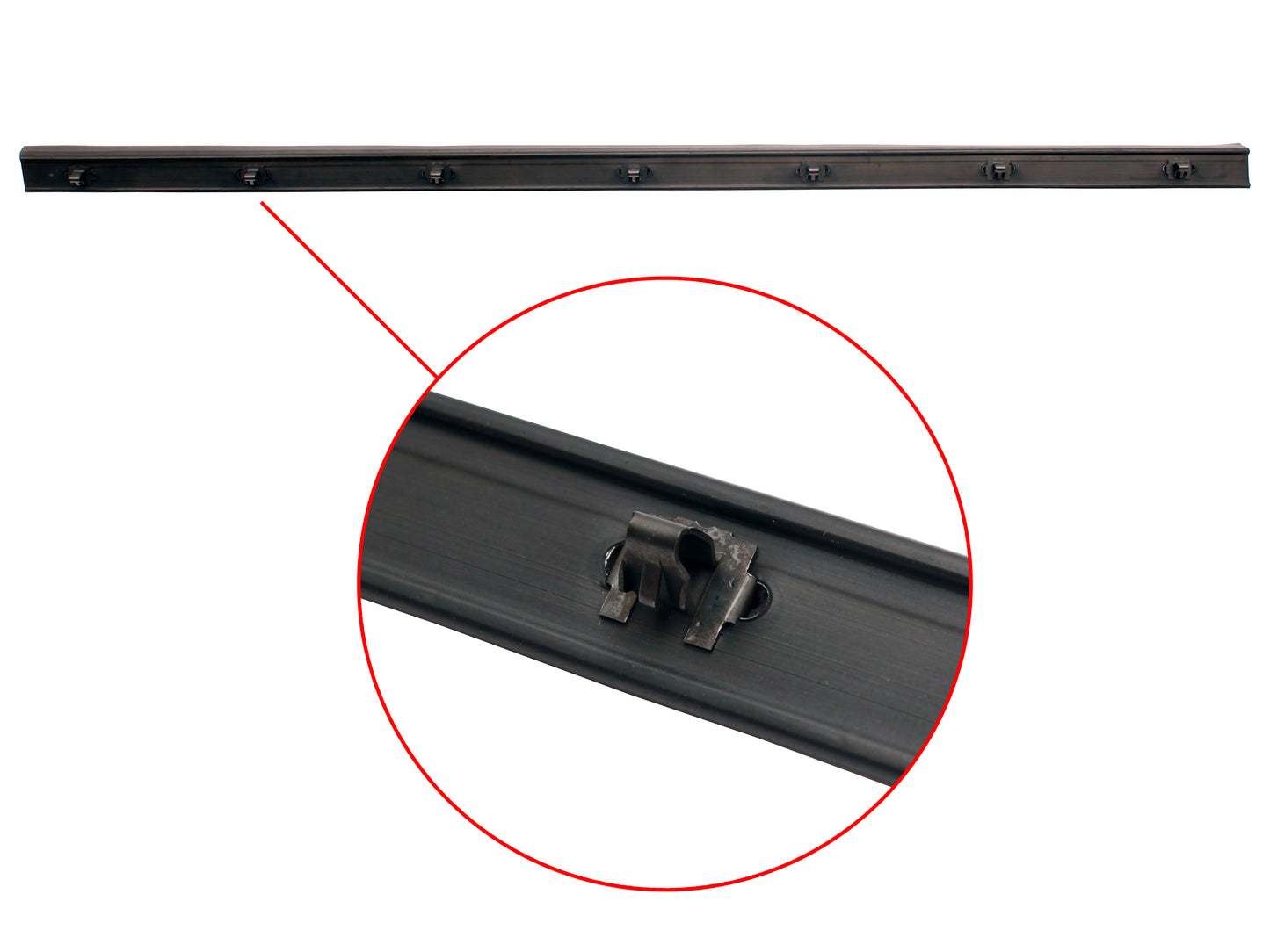 Door Belt WB Statesman Right Hand Rear Outer - RDB1057