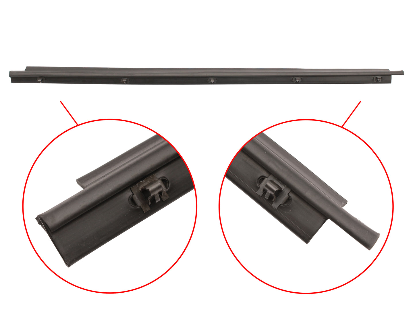 Door Belt XM XP Right Hand Rear Outer 4 Door - RDB2094