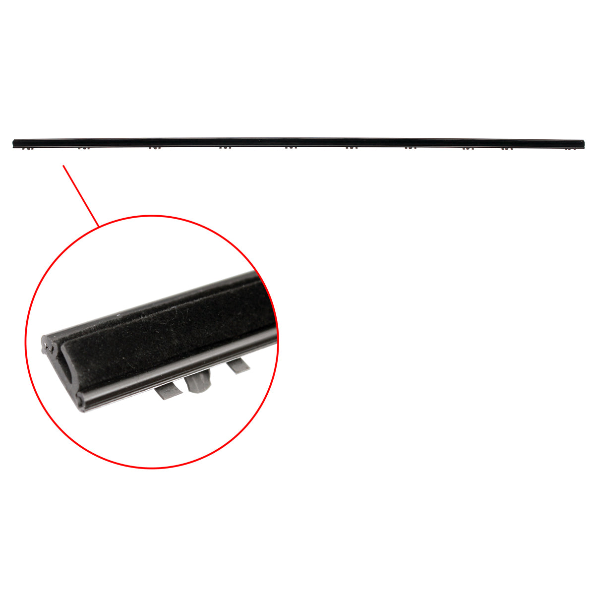 Door Belt Valiant VJ Charger Or Coupe LHF Inner No Quarter Wndow - RDB5053