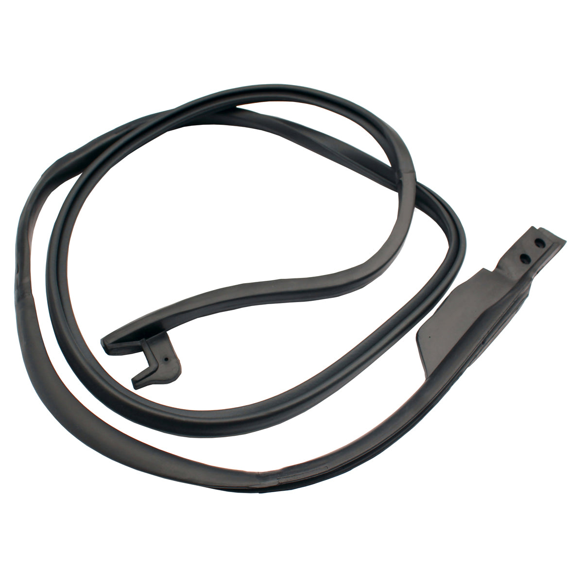 Door Seal XM XP Falcon Coupe RHF Lower - RDS2202