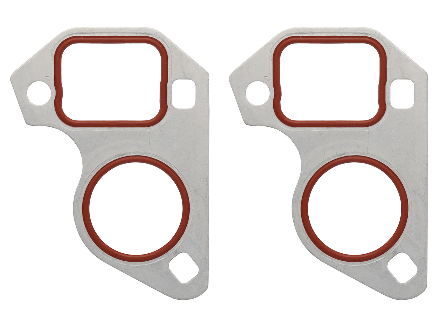 Water Pump Gasket VT VX VU VY VZ VE V8 LS Engine - WP114