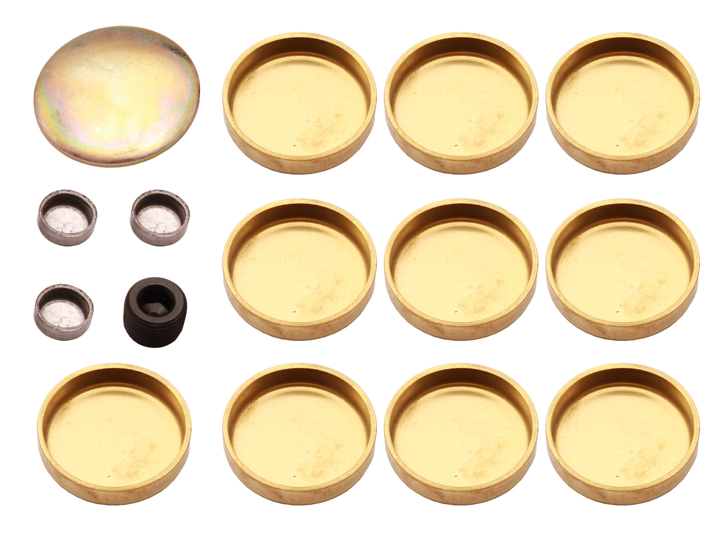 TFI Welsh Plug Kit Holden 253 308 304 V8 - WPK308