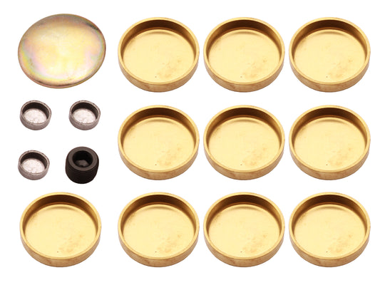 TFI Welsh Plug Kit Holden 253 308 304 V8 - WPK308