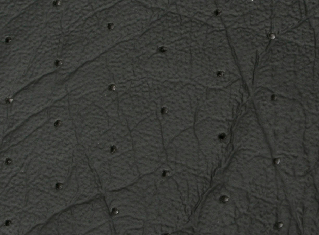 Headlining & Visor XA XB Wagon Black Perforated - XA7151916-HL019