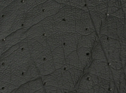 Headlining & Visor FJ Van Black Perforated - 7408188V-HL019