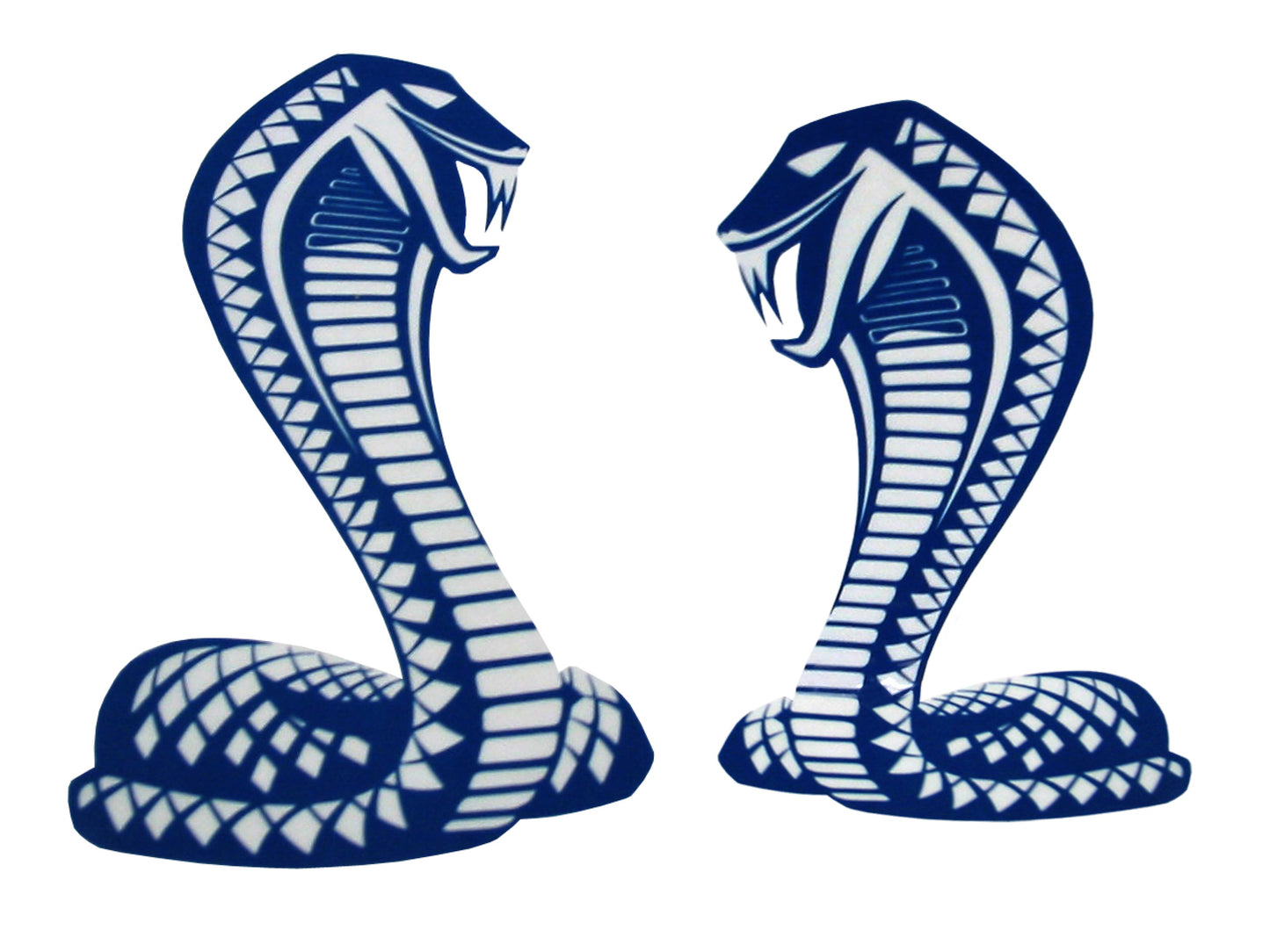 Decal Fender Kit XC Cobra (Pair) "Cobra" - BD4578