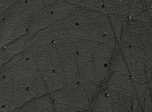 Headlining & Visor LH LX UC Sedan Black Perforated - 9947341-4P